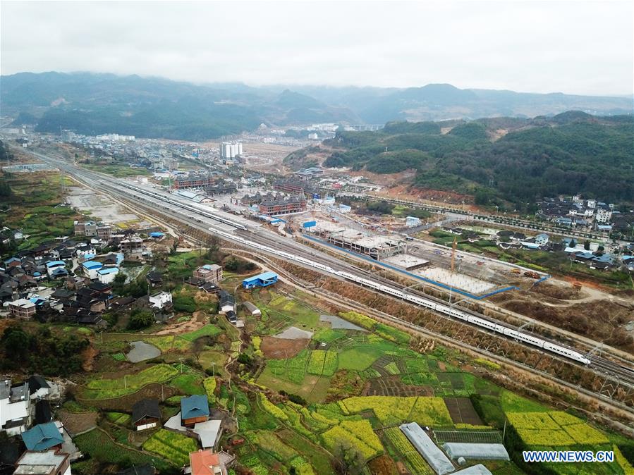 High speed train moves past cole flower fields in Guizhou