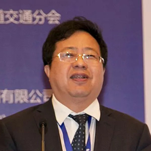 杨颖中车株洲电力机车有限公司首席技术专家、副总工程师