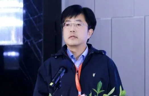 集中式储能电站在城市轨道交通供电系统的试点应用